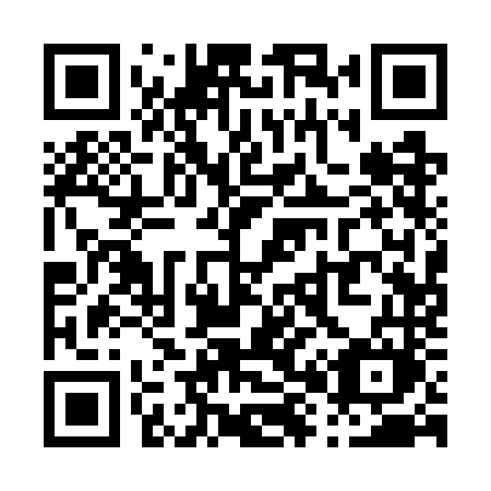 QR code for P817NM