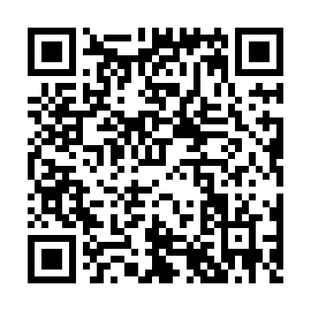 QR code for P818N
