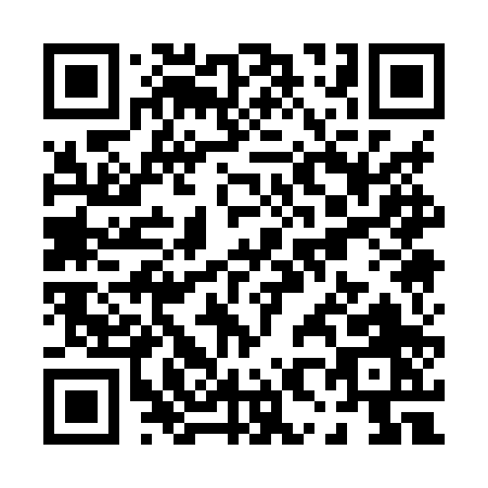 QR code for P818P