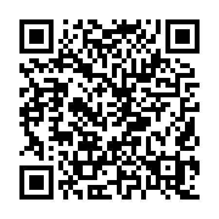 QR code for P818UI