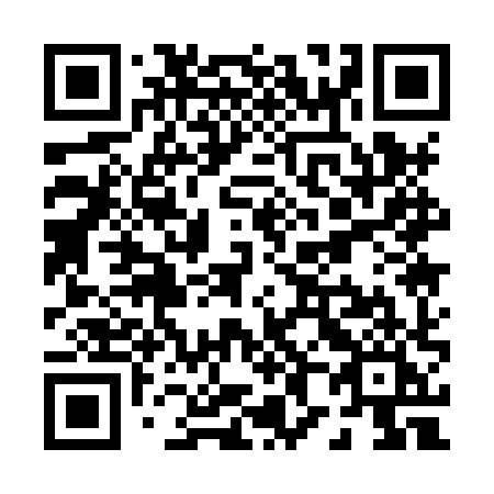 QR code for P818XI
