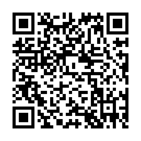 QR code for P819L