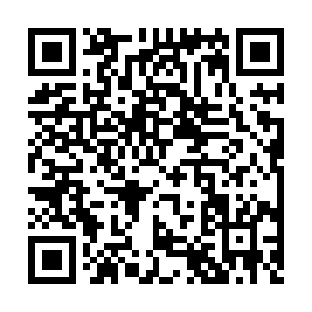 QR code for P838Y