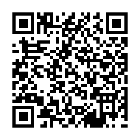 QR code for P847S