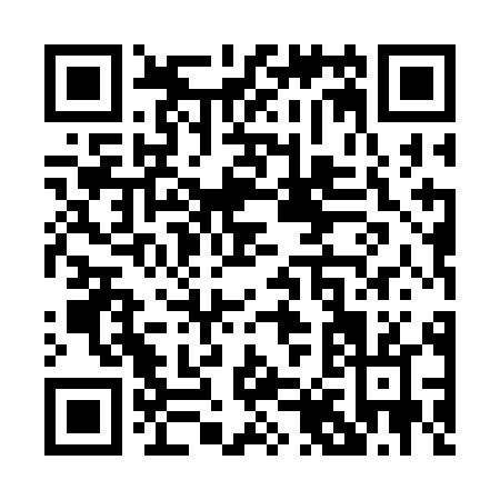 QR code for P853L