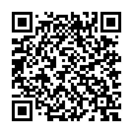 QR code for plate P85 4KW