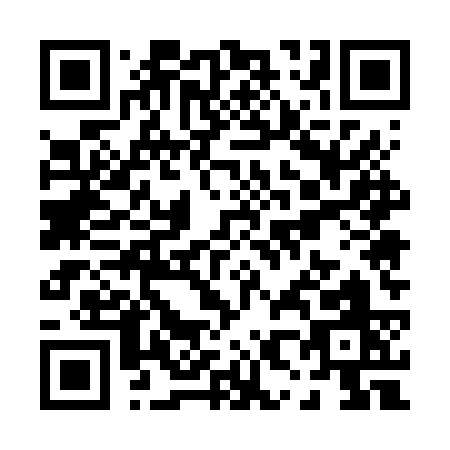 QR code for P856S