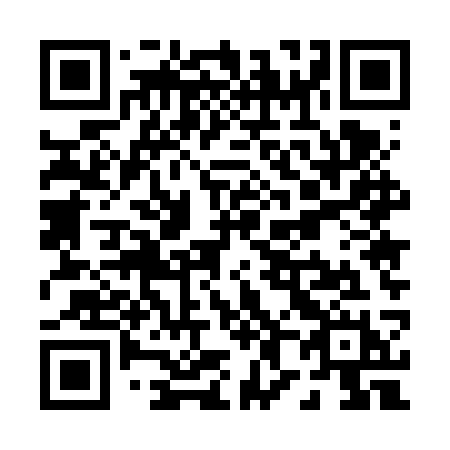 QR code for P856SH