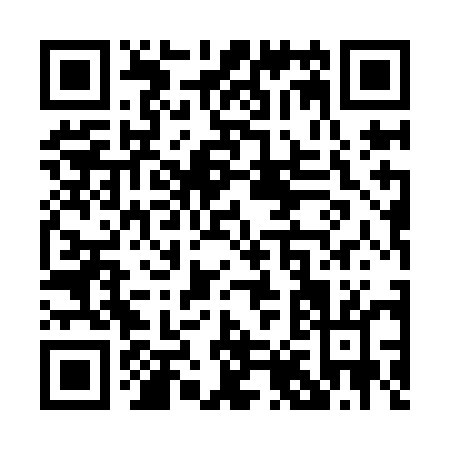 QR code for P859E