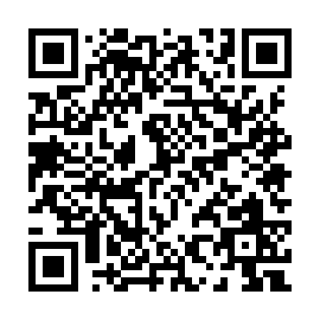 QR code for P859S