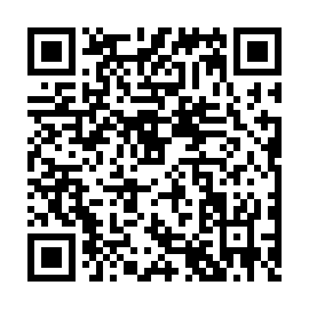 QR code for P873C