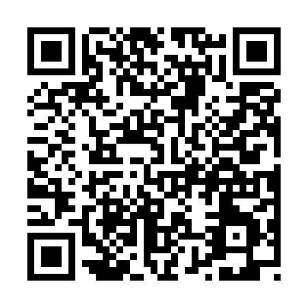 QR code for P875H