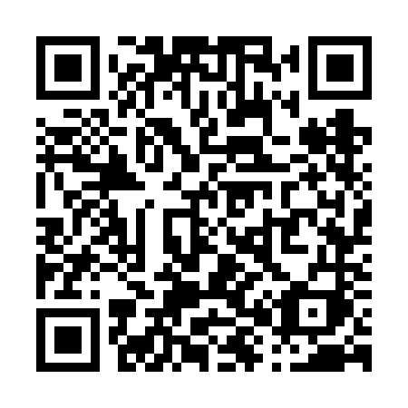 QR code for P876NI