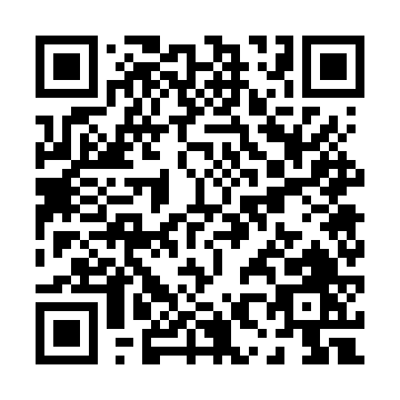 QR code for P876V