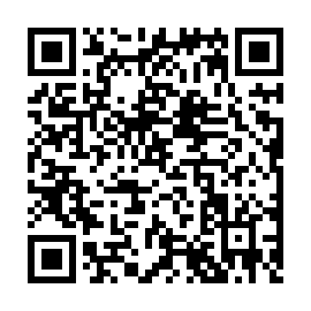 QR code for P878P