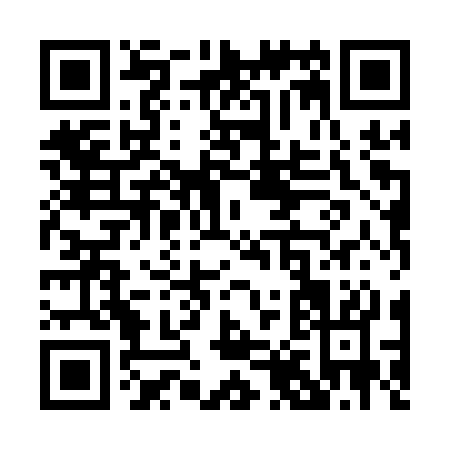 QR code for P881S