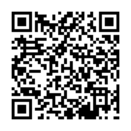 QR code for P893N