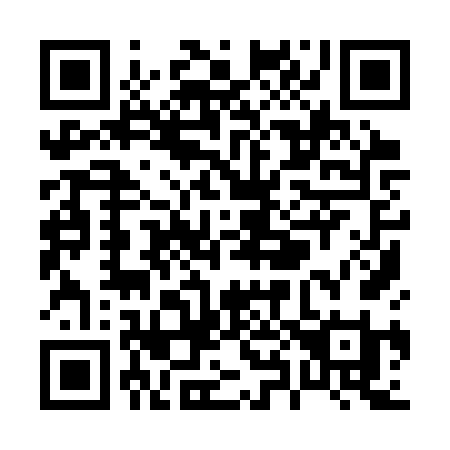 QR code for P893VI