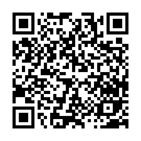 QR code for P905V