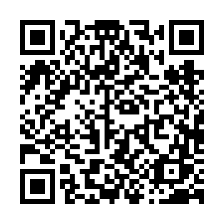 QR code for plate P90 6FS