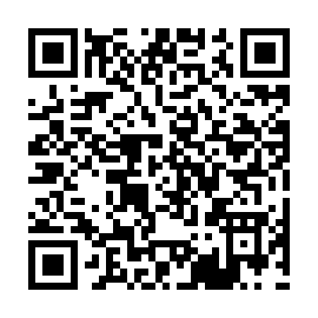 QR code for P909G