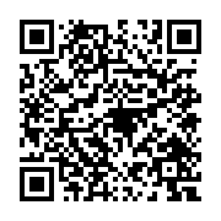 QR code for P910D
