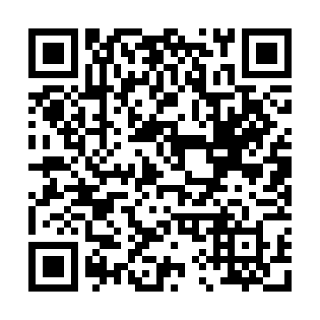 QR code for plate P91 3FX