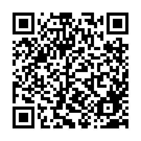 QR code for P913HF