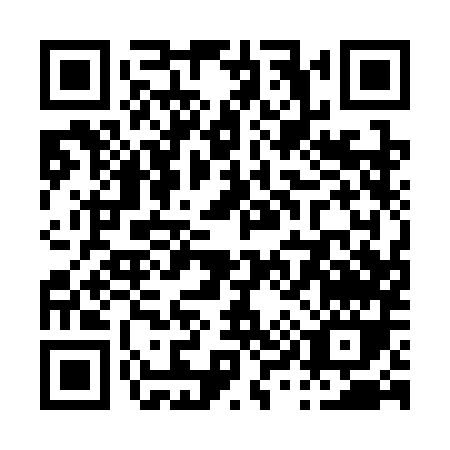 QR code for P913M