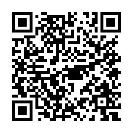 QR code for P918Z