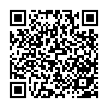 QR code for P924G