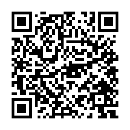QR code for P925T