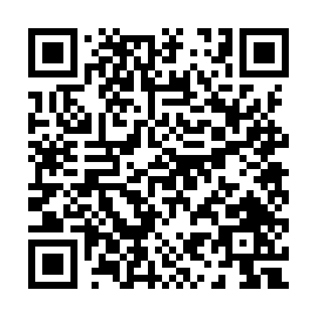 QR code for P929T