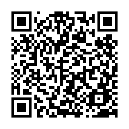 QR code for plate P93 4GB