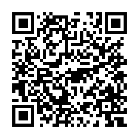 QR code for P938X
