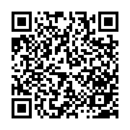 QR code for P953I