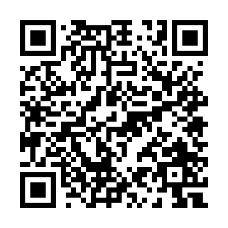 QR code for P955P