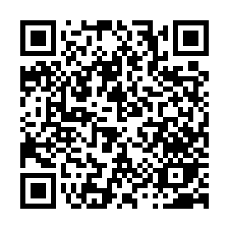 QR code for P955Z