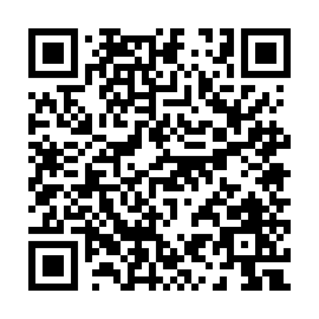 QR code for P956E