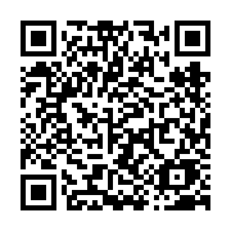 QR code for plate P95 6KE