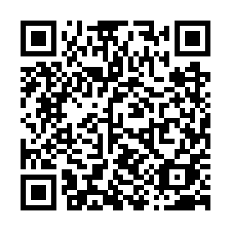 QR code for P957PI