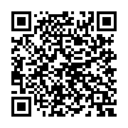 QR code for P958DP