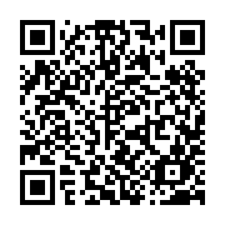 QR code for plate P96 0IN