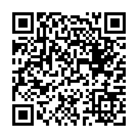 QR code for P963V