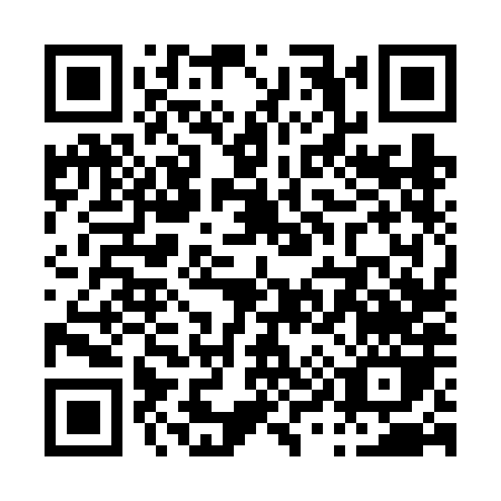 QR code for P966H