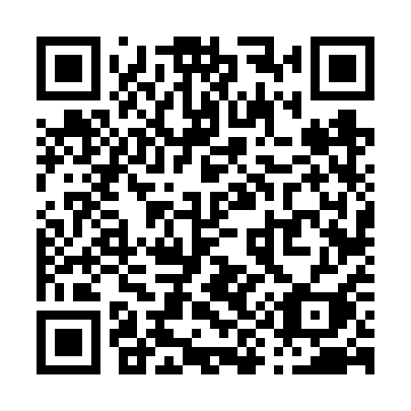 QR code for P966QI