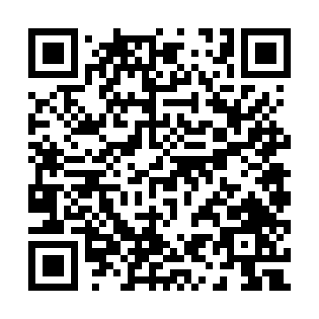 QR code for P966T