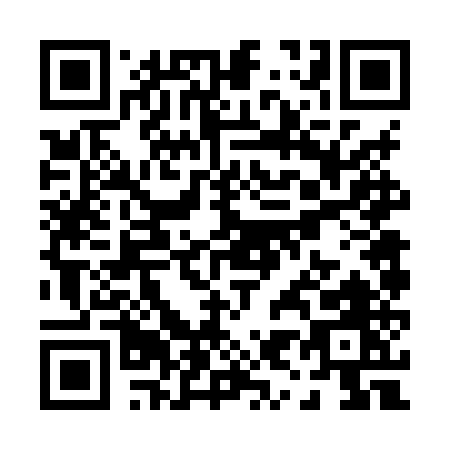 QR code for P968U