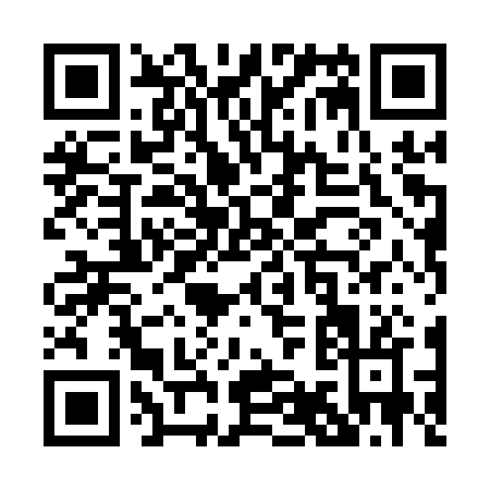 QR code for P981R