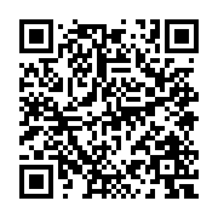 QR code for P990U